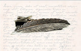 Ravens Feather Tie Clip Inlaid in Hand Painted Black Enamel Neo Victorian Crow Tieclip Neck Tie Bar Accent With Color Options