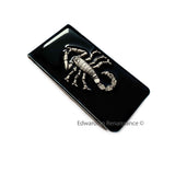 Antique Silver Scorpio Money Clip Inlaid in Black Enamel Neo Victorian Zodiac Inspired with Personalized and Color Options